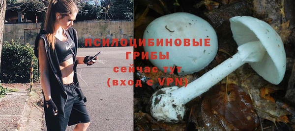 COCAINE Козельск