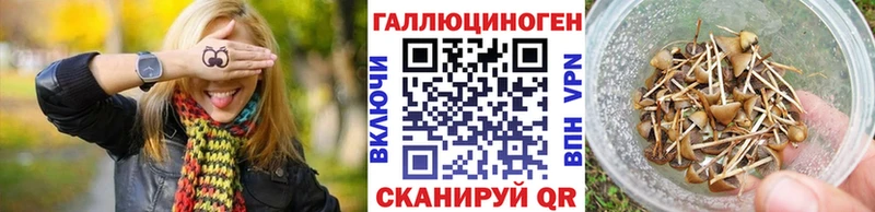 Купить  Нестеров  Галлюциногенные грибы Magic Shrooms 